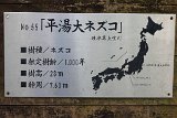 IMG 1540