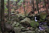IMG 2288