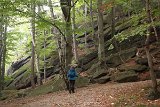 IMG 2289