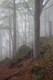 IMG 2300