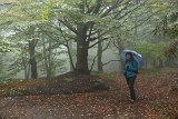 IMG 2301