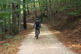 IMG 2319