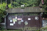 IMG 2323