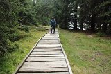 IMG 2335