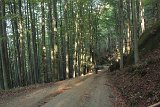 IMG 2341