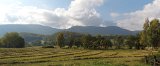 IMG 2344 - IMG 2345