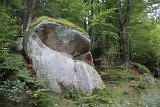 IMG 2350