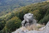 IMG 2356