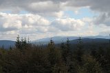 IMG 2359