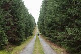 IMG 2370