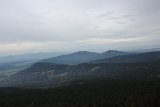 IMG 2381