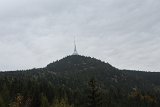 IMG 2388