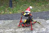 IMG 2404