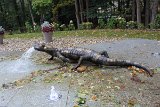 IMG 2419