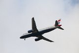 IMG 2441
