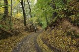 IMG 2461