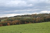 IMG 2465