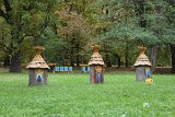 IMG 2468