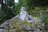 IMG 3807