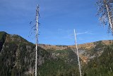 IMG 3853