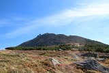 IMG 3859