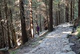 IMG 3876