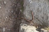 IMG 3877