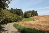 IMG 3906