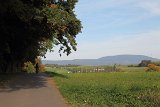 IMG 3919