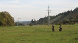 IMG 3924