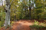 IMG 3999