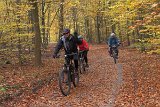 IMG 4016