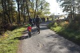 IMG 3961