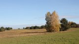 IMG 3968