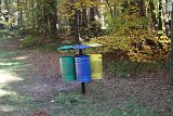 IMG 3978
