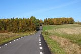 IMG 3981