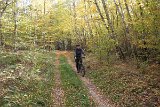 IMG 3982