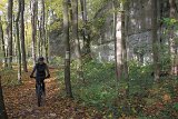 IMG 3986