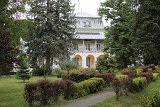 IMG 2117