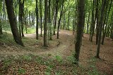 IMG 2121
