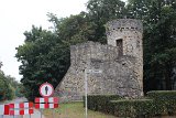 IMG 2137