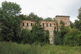 IMG 2146