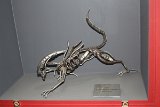 IMG 2157