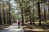 IMG 2229