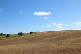 IMG 2241