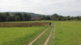 IMG 2194