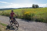 IMG 3786