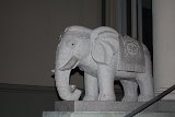 IMG 1834