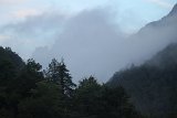 IMG 1867