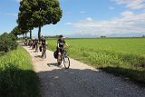 IMG 1933